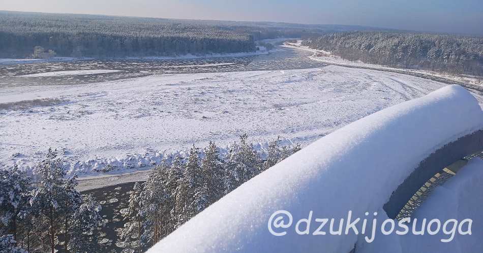 Что посмотреть в Литве зимой - Дзукийский нацпарк вблизи Друскининкай