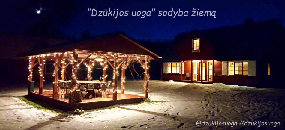 Отдых в Литве зимой - Друскининкай усадьба в аренду - Dzukijos uoga