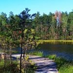 Druskininkų rajono lankytinos vietos - Dzūkijos nacionalinis parkas - "Dzūkijos uoga"