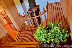 Sauna w willi agroturystycznej w Druskiennikach - "Dzūkijos uoga"
